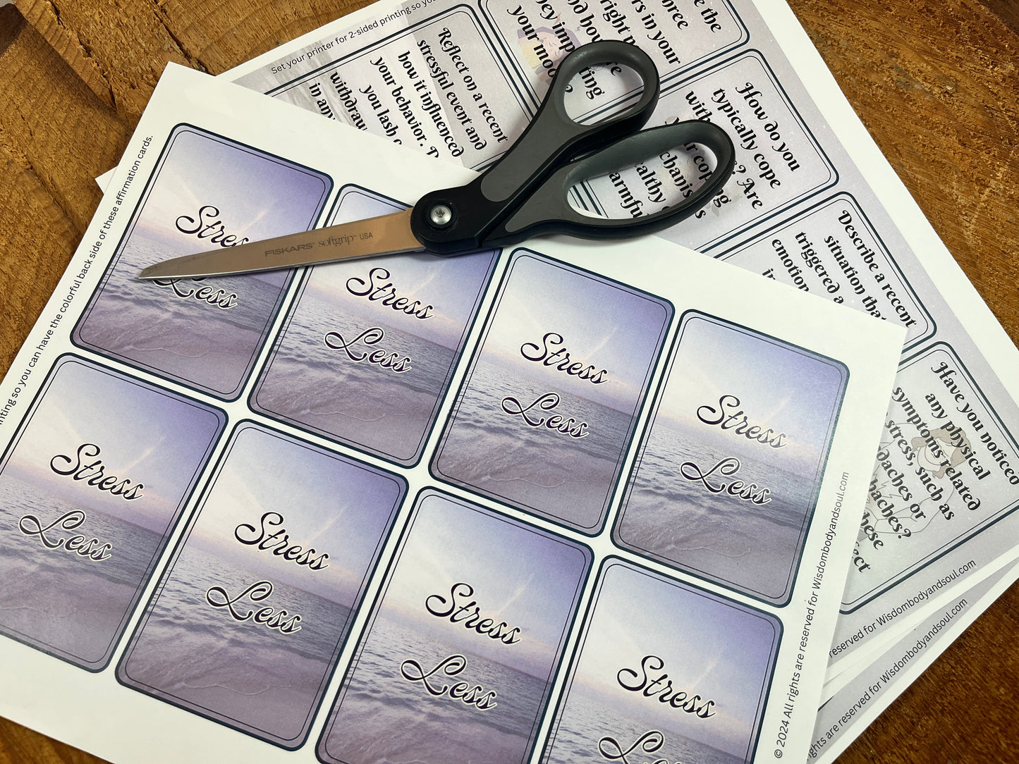Stress Less Journal Prompt Cards PDF Download