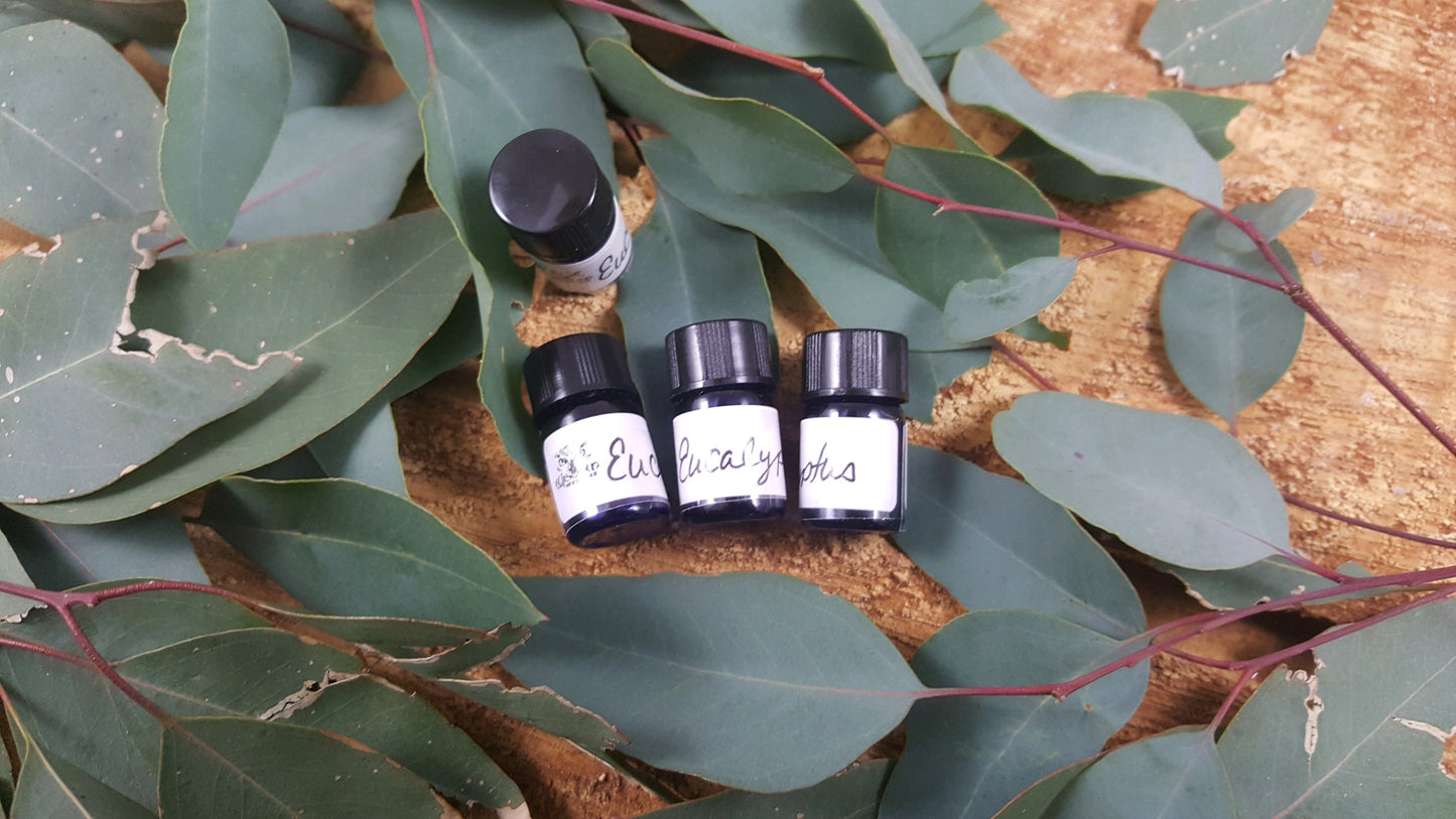 Eucalyptus Essential Oil