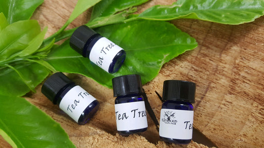 Tea Tree Essential Oil
